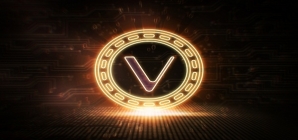VeChain Follows Market Trends, Slips by 11.06 per cent
