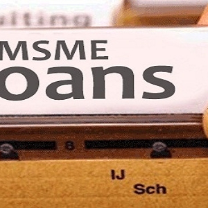 Market Shares of Private Banks, NBFCs in MSME Loans has Increased