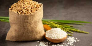 Basmati Rice info, its worldwide market, and Indian Rice Exporters functions-A detailed report